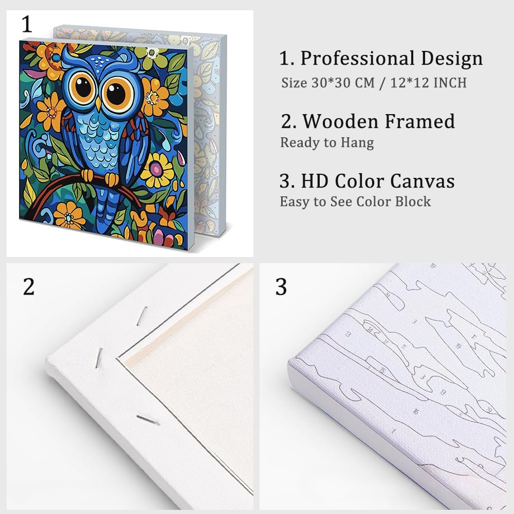 Colorful Owl  - Kit de Pintura por Números - 30 x 30 cm