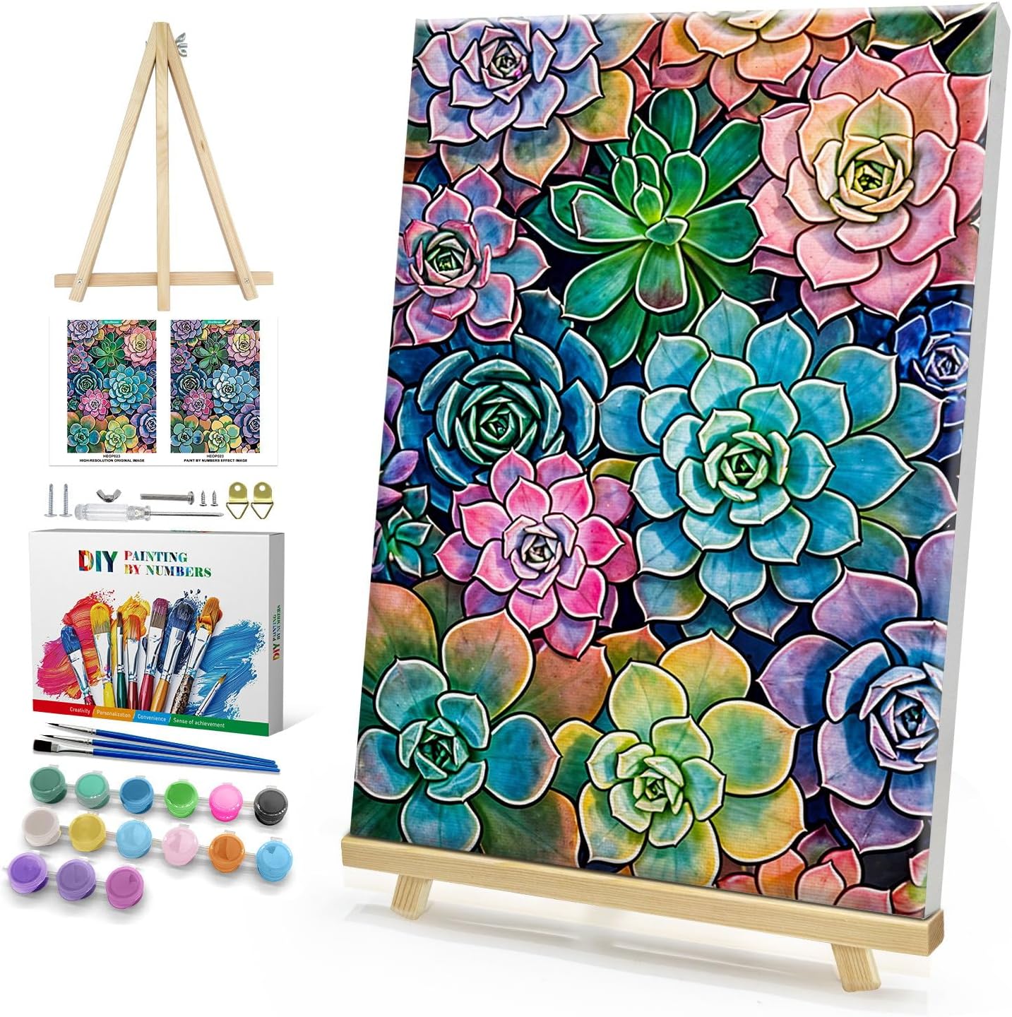 Suculentas Kit de Pintura por Números - 20 x 30 cm