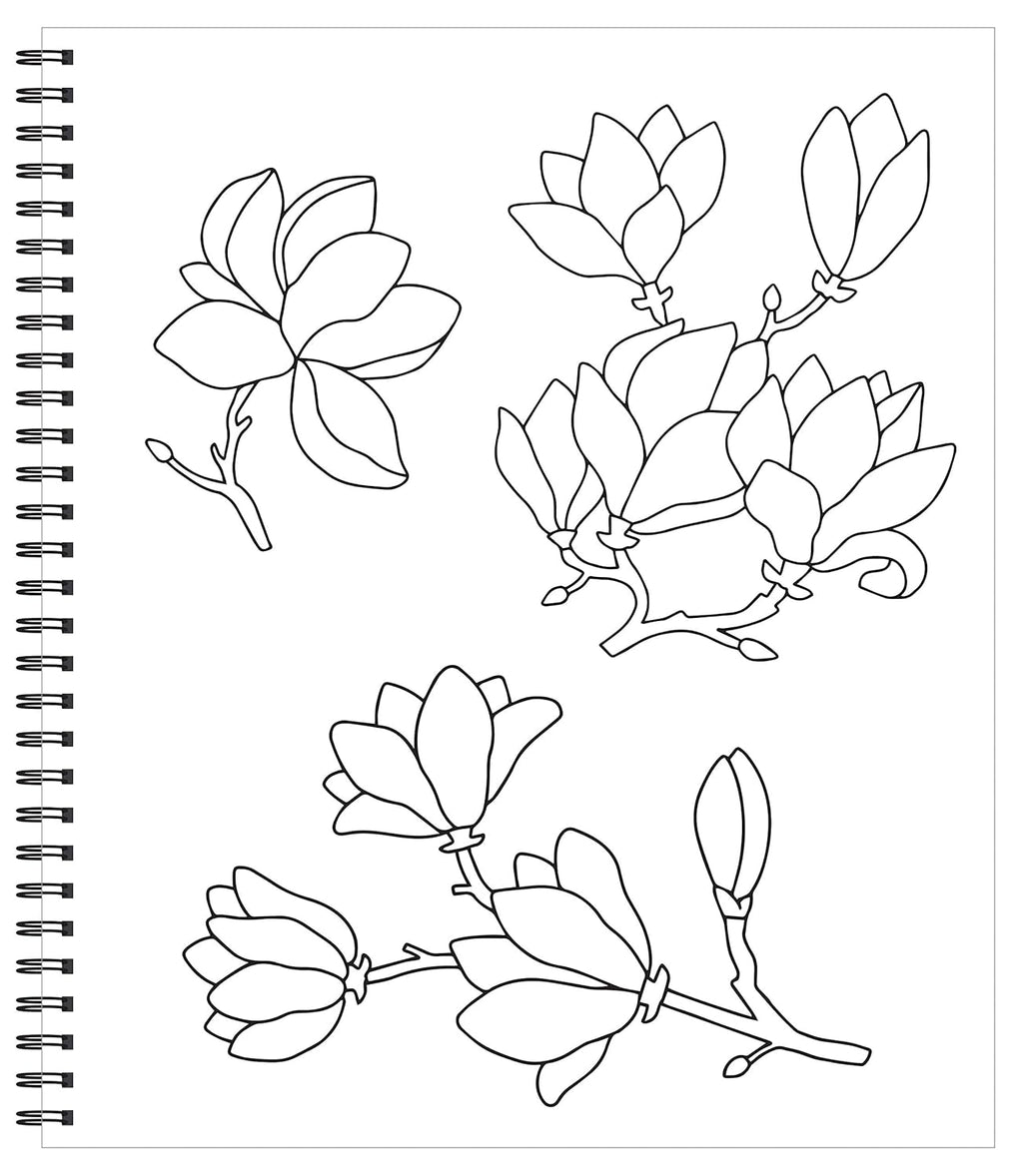 Libro de Colorear para Adultos y Adolescentes Manejo de Ansiedad - Flores, Mandalas y Más
