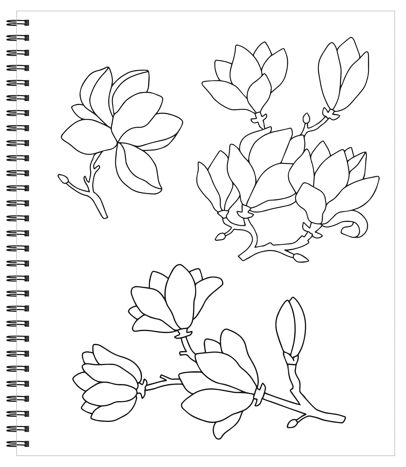Flores y Mandalas · Libro de Colorear para Relajación