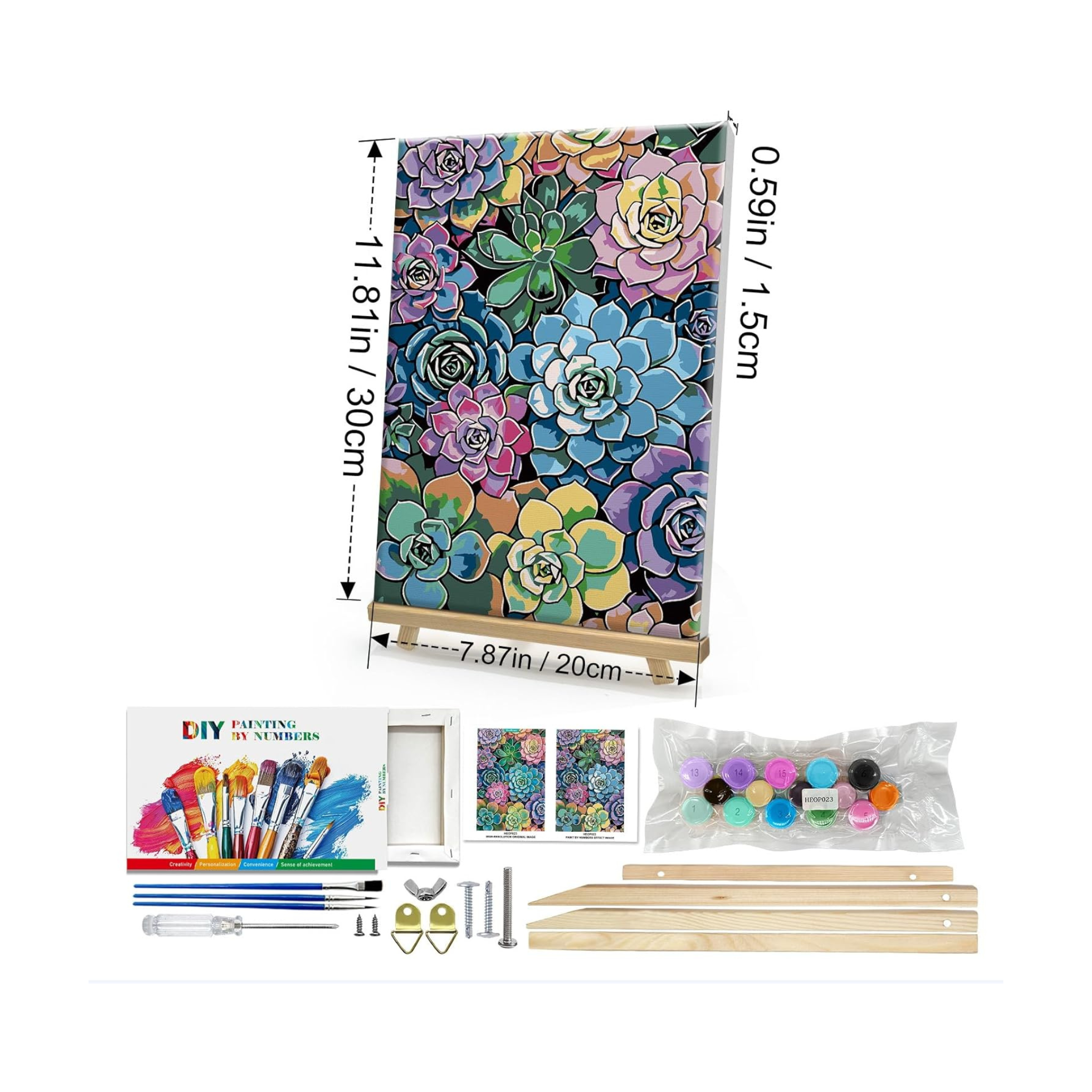 Suculentas Kit de Pintura por Números - 20 x 30 cm