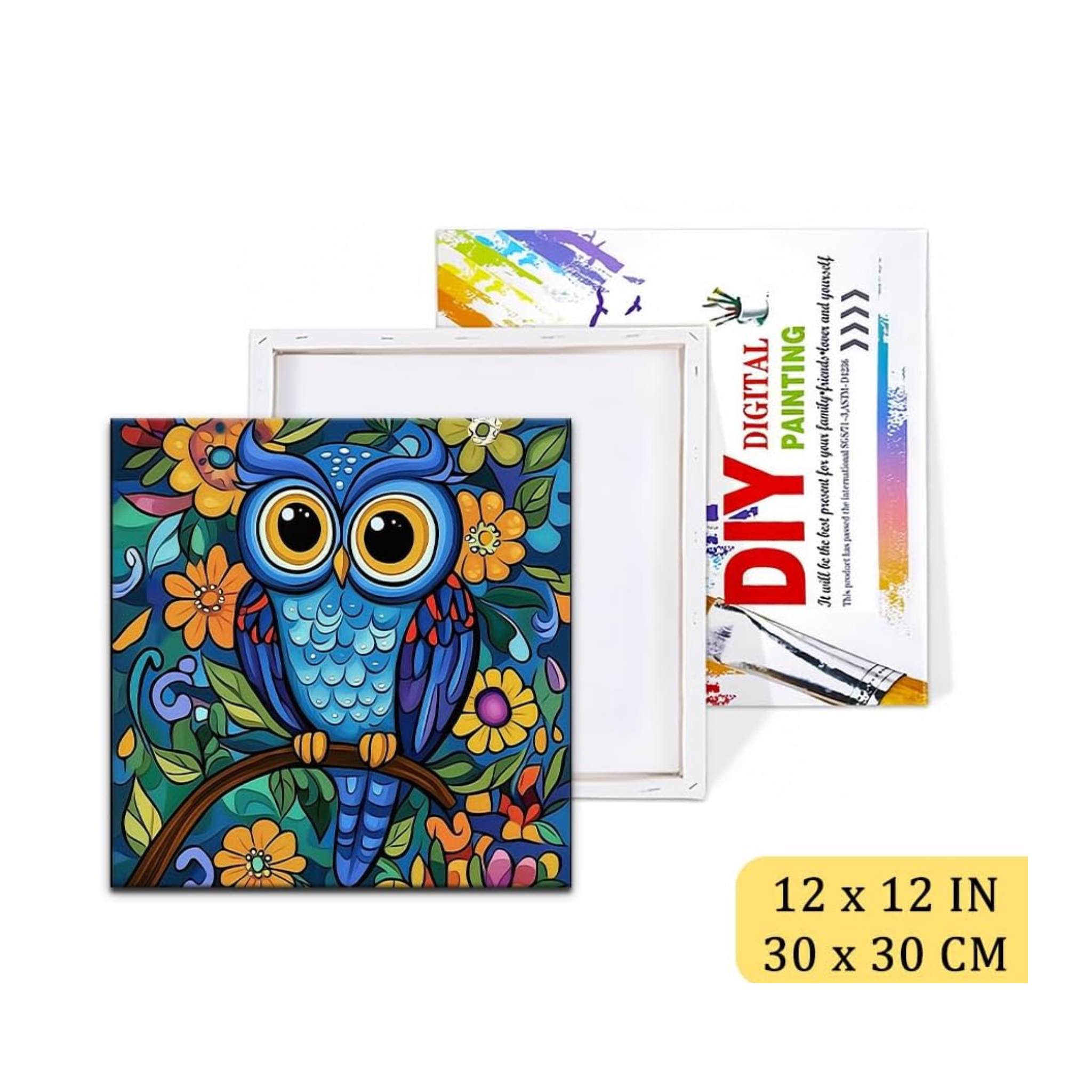 Colorful Owl  - Kit de Pintura por Números - 30 x 30 cm
