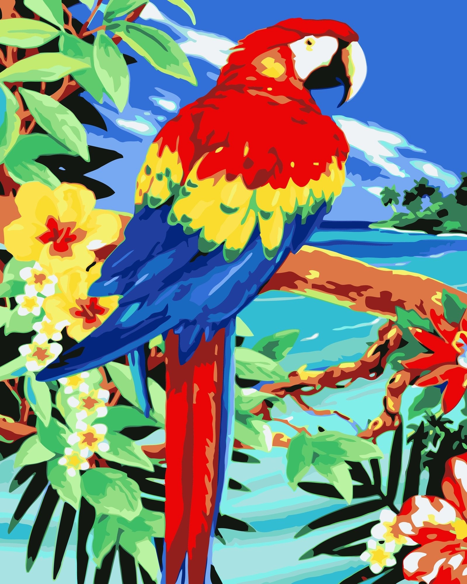 Kit de pintura por números Ave del Paraíso 40x50cm - diseño animales - My Box Hub